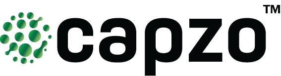 capzo colored logo image